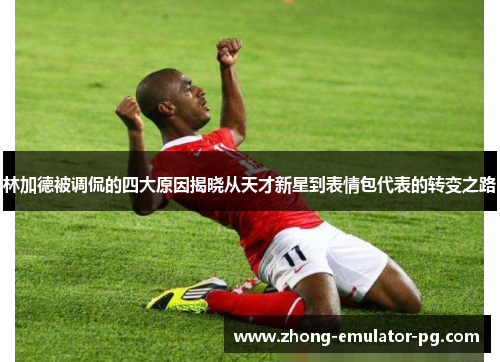 林加德被调侃的四大原因揭晓从天才新星到表情包代表的转变之路