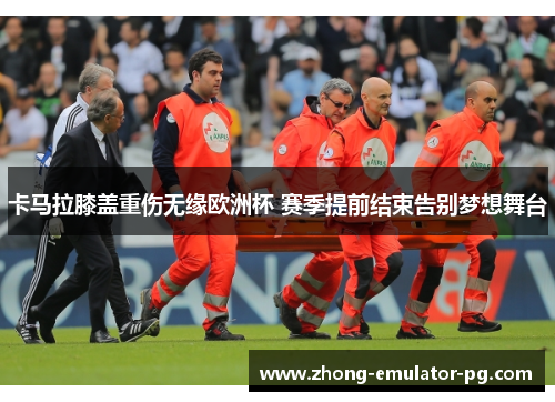 卡马拉膝盖重伤无缘欧洲杯 赛季提前结束告别梦想舞台