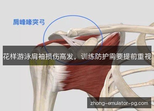 花样游泳肩袖损伤高发,训练防护需要提前重视 花样游泳肩袖损伤高发,训练防护需要提前重视